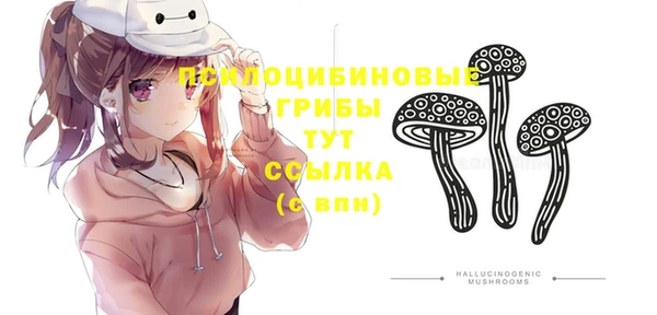 кокаин Богородицк