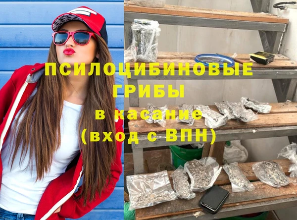 ГАЛЛЮЦИНОГЕННЫЕ ГРИБЫ Богородск