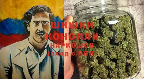 дживик Богданович