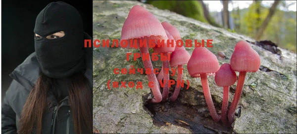 дживик Богданович