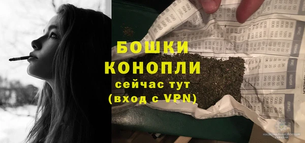 дживик Богданович