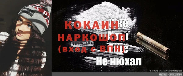 дживик Богданович