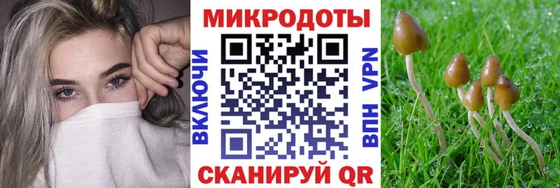 Галлюциногенные грибы Magic Shrooms Арзамас