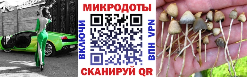 сколько стоит  Арзамас  Псилоцибиновые грибы Magic Shrooms 